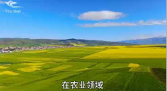 西安干冰气肥